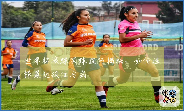 世界杯滚球买球技巧揭秘，如何选择最优投注方式
