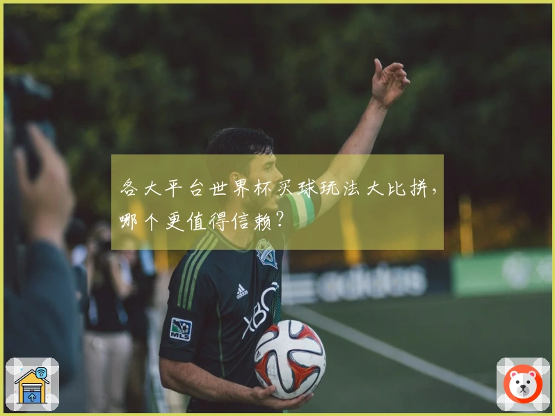 各大平台世界杯买球玩法大比拼，哪个更值得信赖？