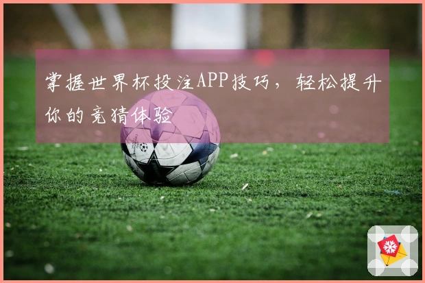 掌握世界杯投注APP技巧，轻松提升你的竞猜体验