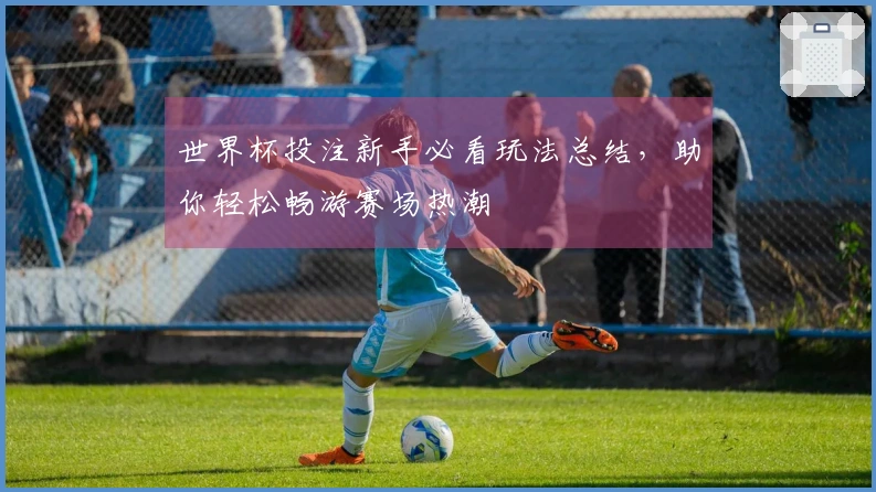 世界杯投注新手必看玩法总结，助你轻松畅游赛场热潮