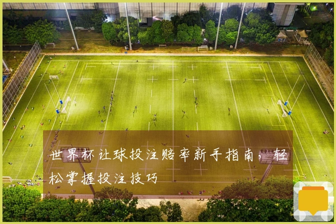 世界杯让球投注赔率新手指南，轻松掌握投注技巧