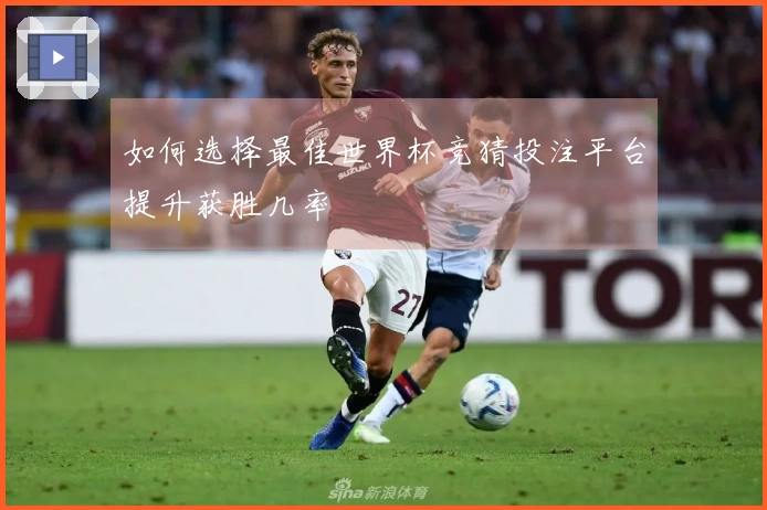 如何选择最佳世界杯竞猜投注平台提升获胜几率