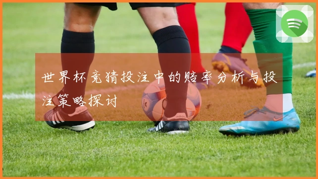 世界杯竞猜投注中的赔率分析与投注策略探讨