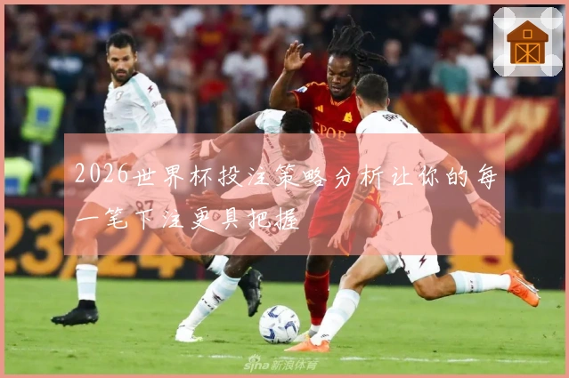 2026世界杯投注策略分析让你的每一笔下注更具把握