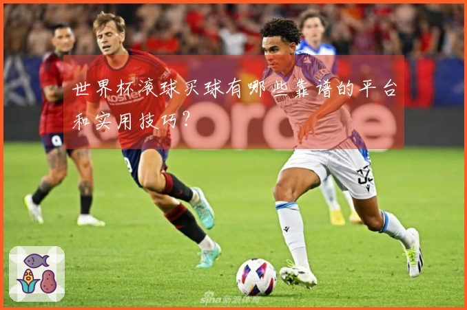 世界杯滚球买球有哪些靠谱的平台和实用技巧？