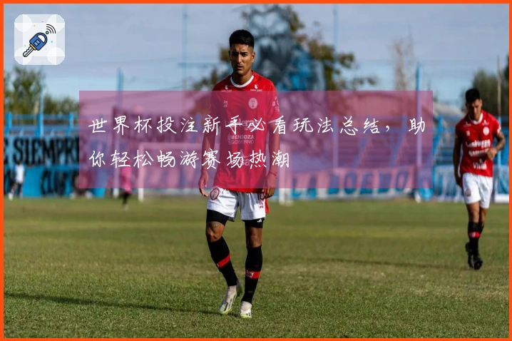 世界杯投注新手必看玩法总结，助你轻松畅游赛场热潮