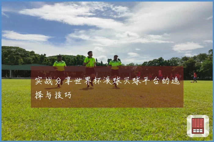 实战分享世界杯滚球买球平台的选择与技巧